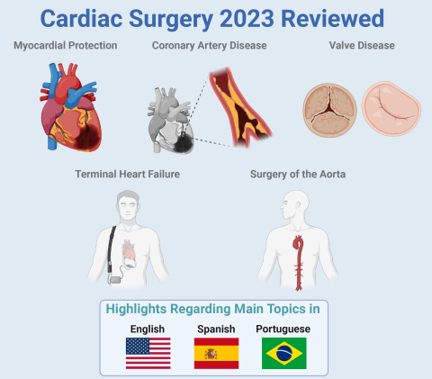 Cardiac Surgery 2023 Reviewed